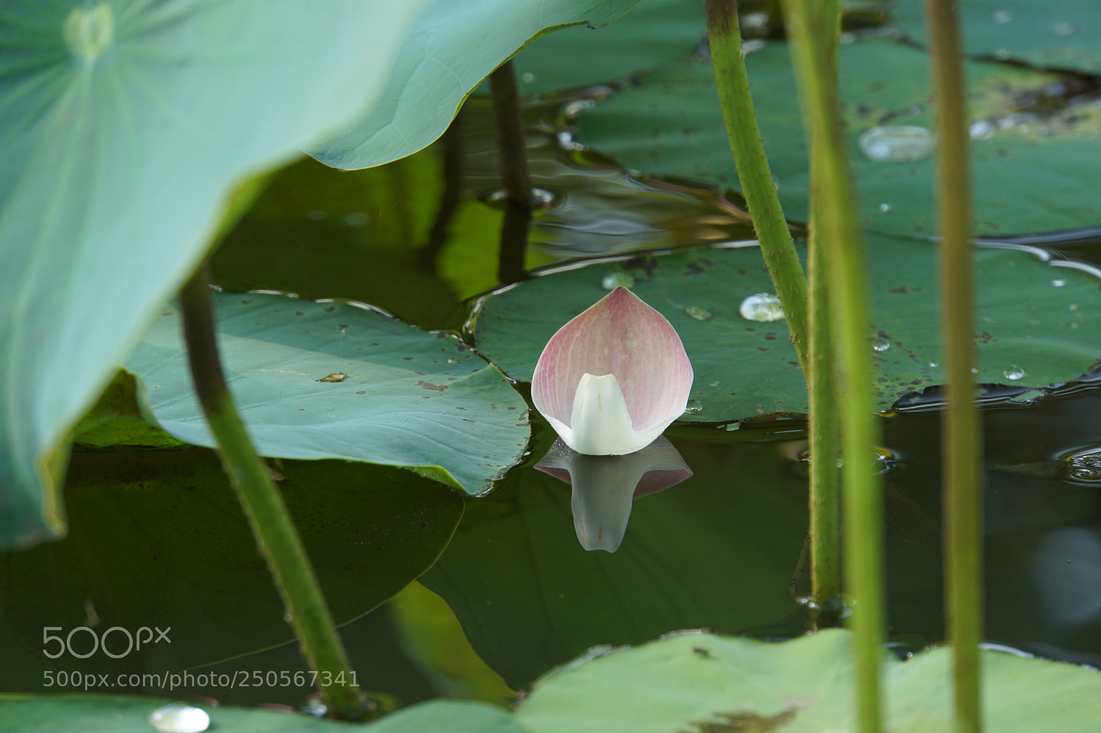 Sony a6000 sample photo. A boat photography