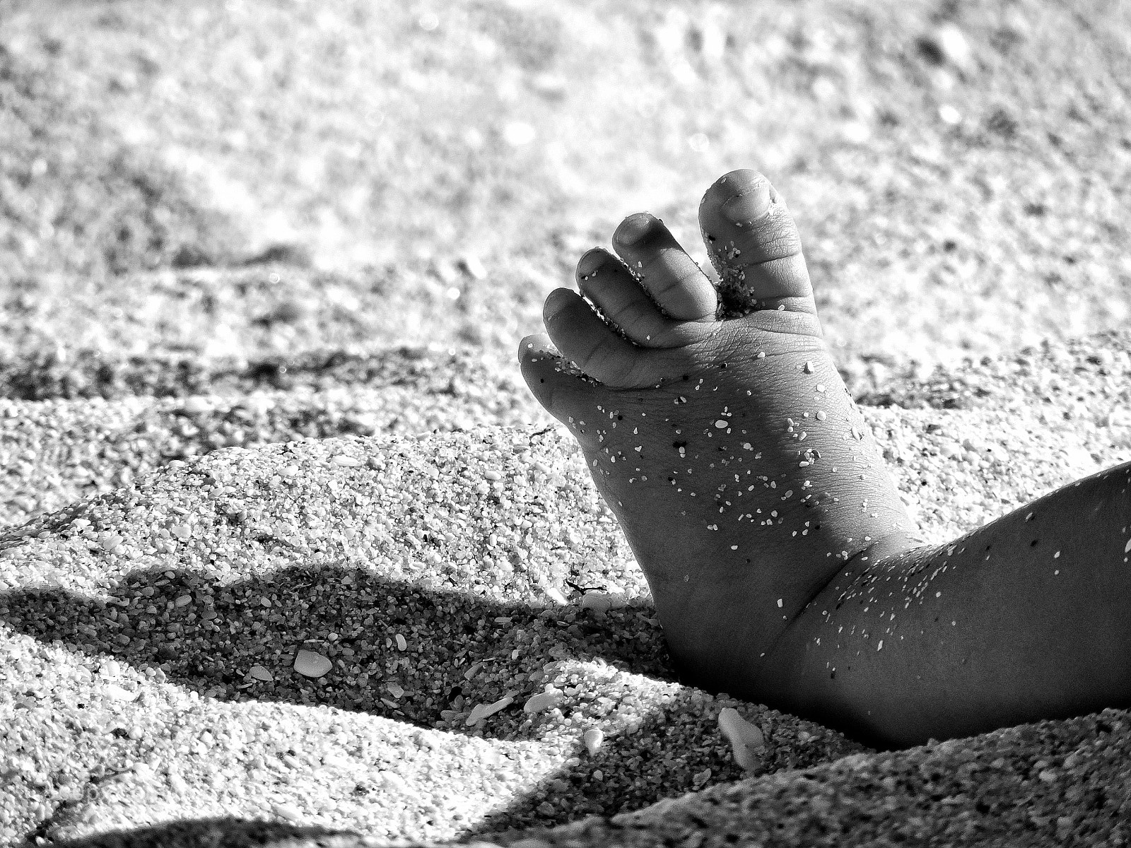 Nikon Coolpix P530 sample photo. Babyfoot... photography