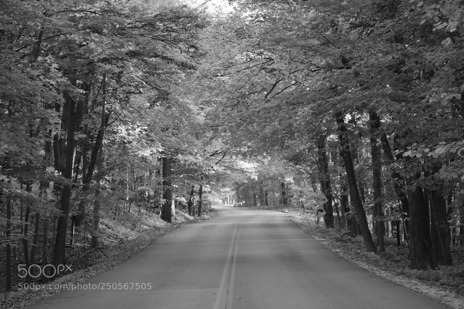 Nikon D5500 sample photo. Road to heaven photography
