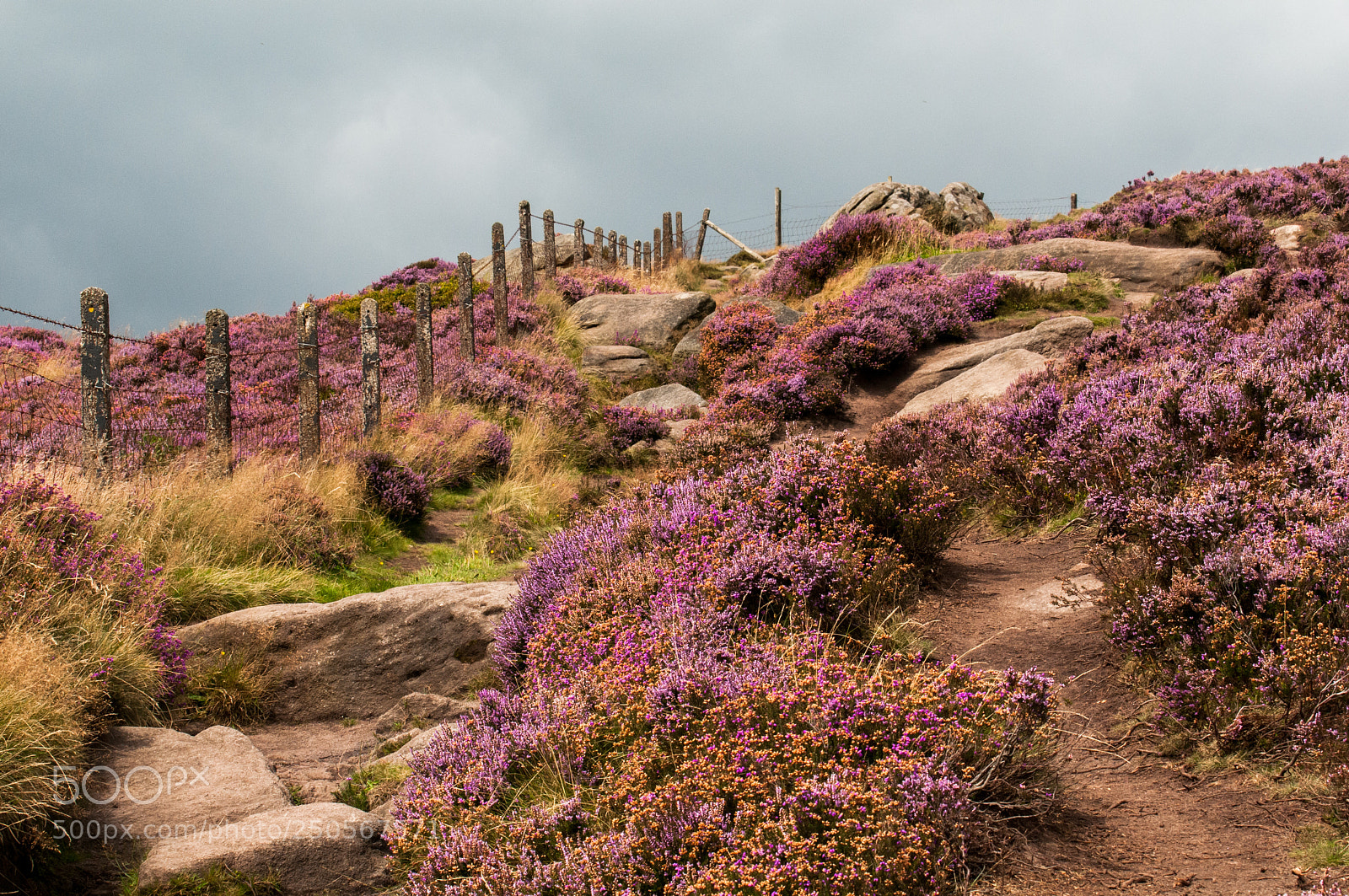 Nikon D300 sample photo. Peak district photography