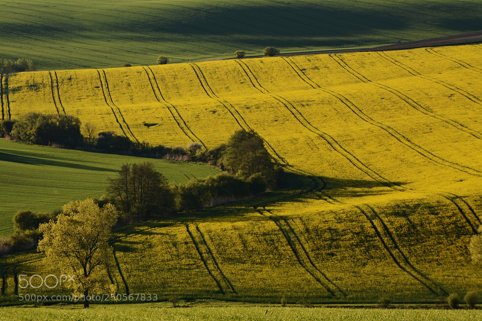 Nikon D7100 sample photo. Spring line and curves photography