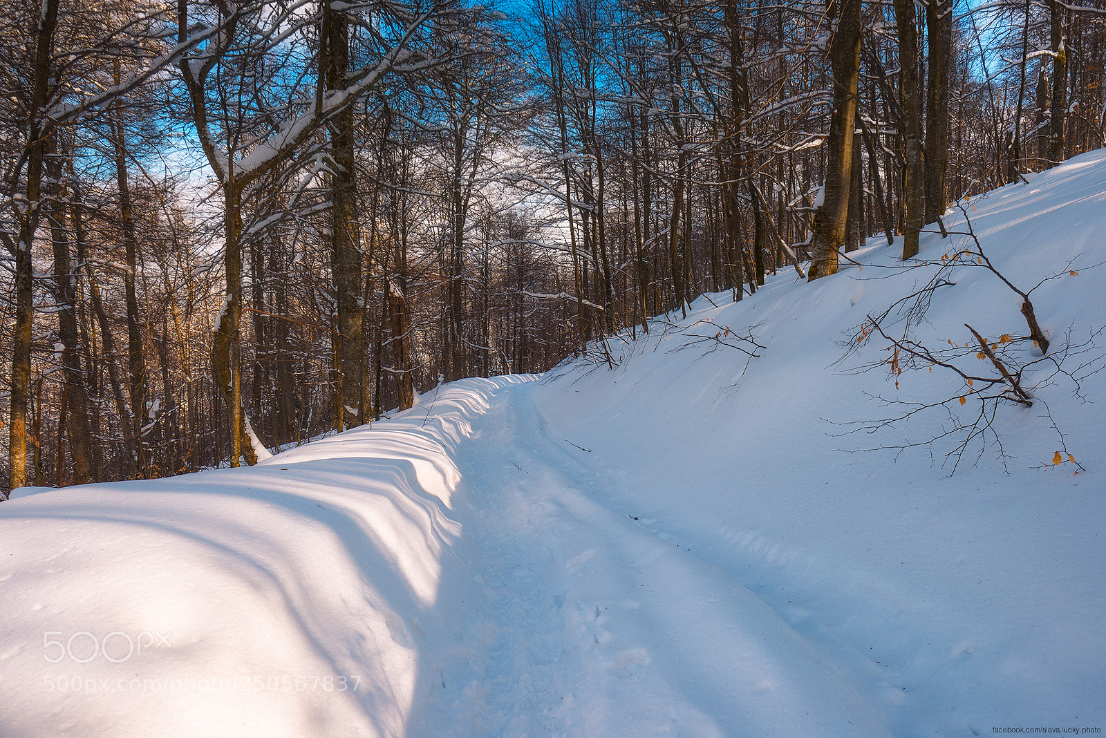 Nikon D610 sample photo. *** photography