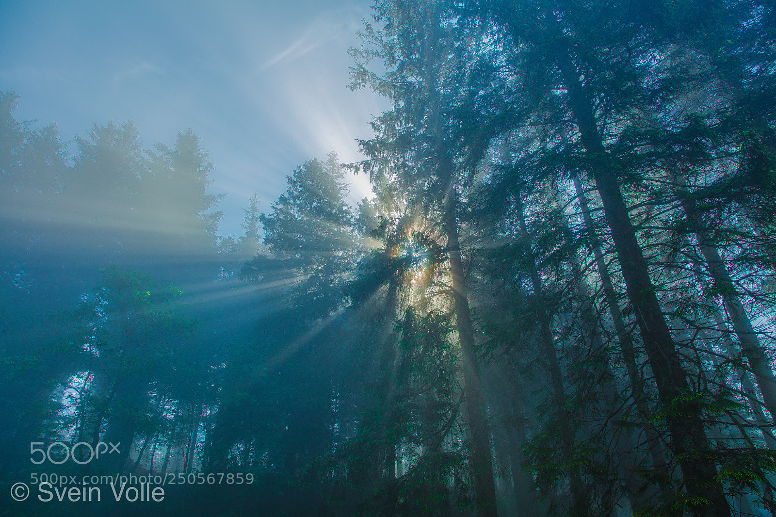 Canon EOS 5DS R sample photo. The nearest star photography