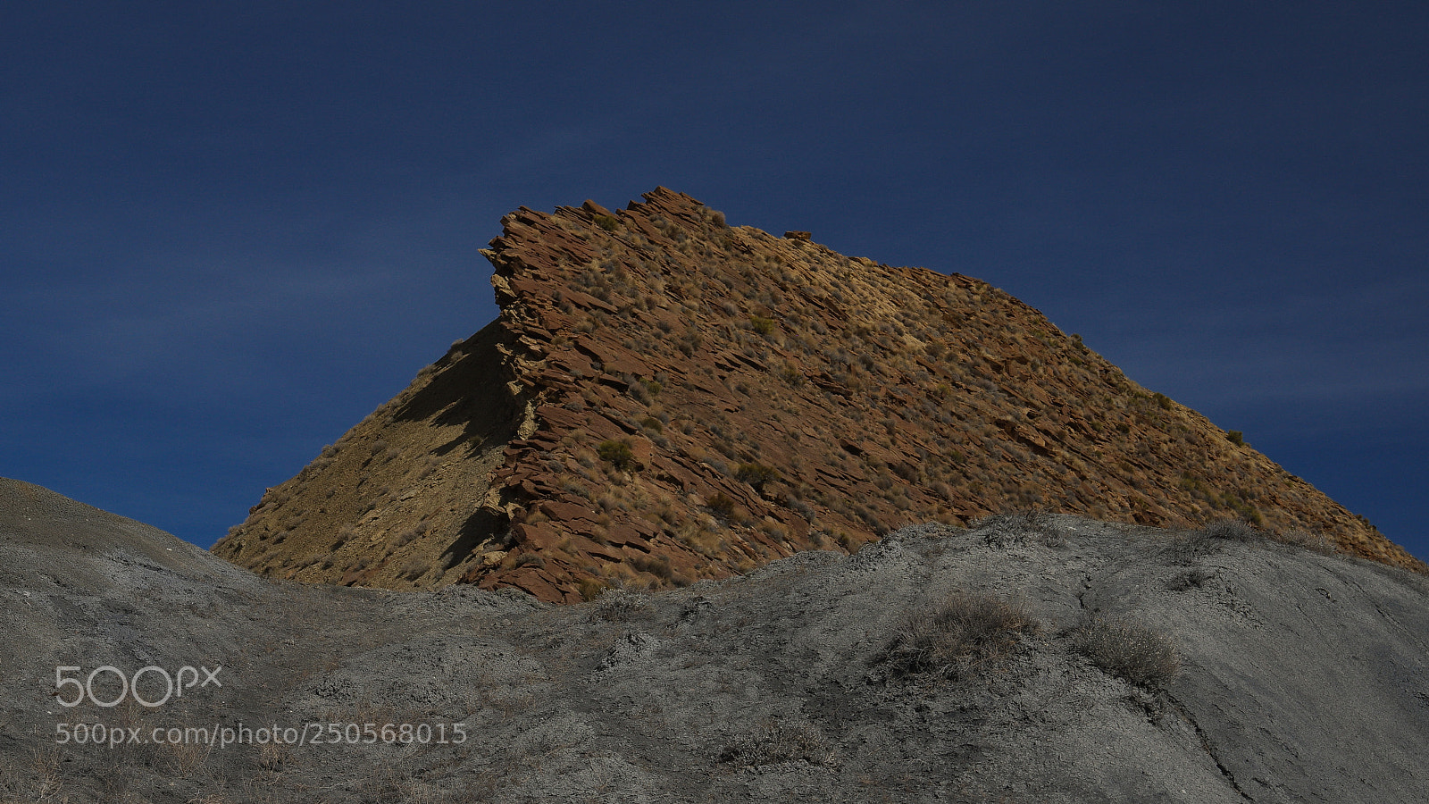 Pentax K-3 II sample photo. Rise up photography