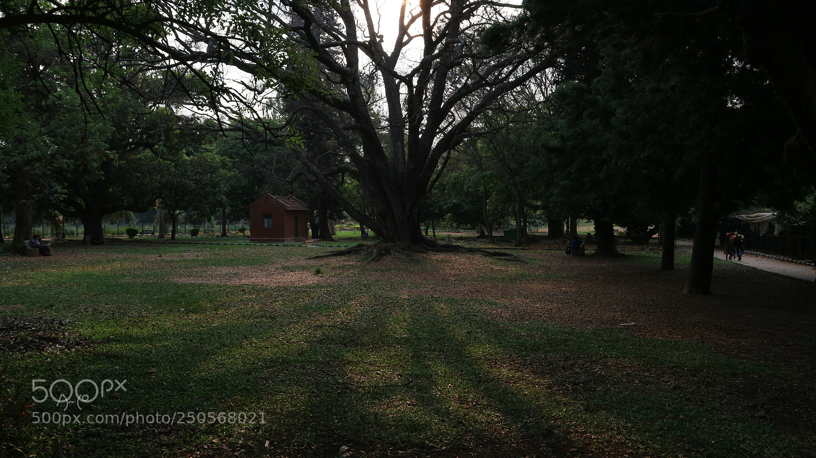 Canon EOS M10 sample photo. Shadow and light photography