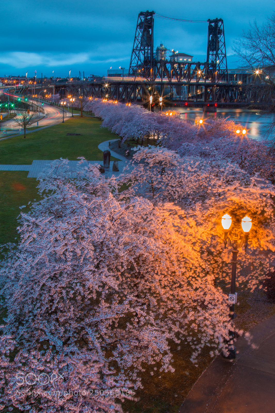 Canon EOS 70D sample photo. Cherrytrees photography