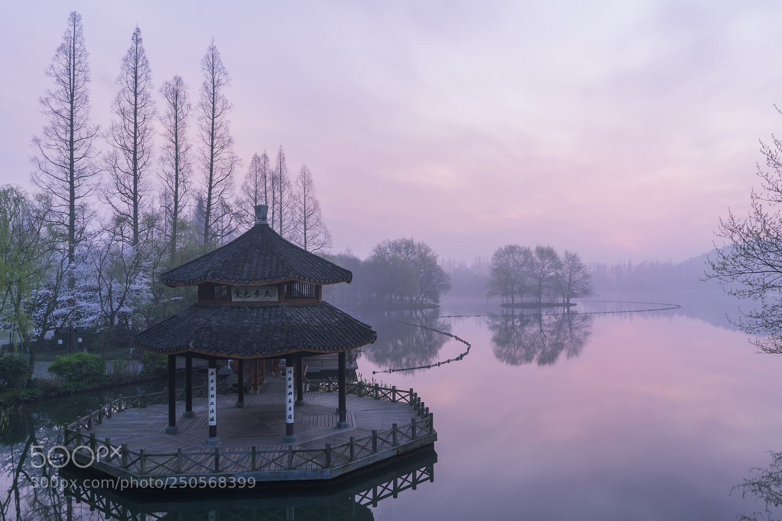 Sony a7 sample photo. 黛色参天 photography