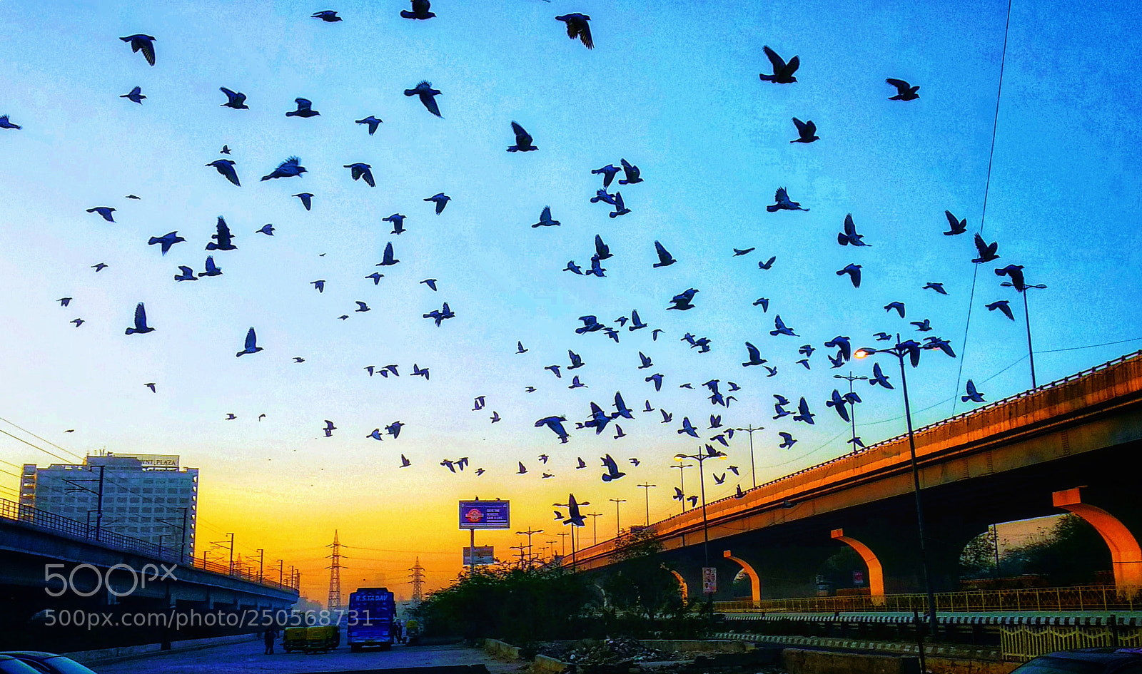 Xiaomi Mi A1 sample photo. Untitled photography