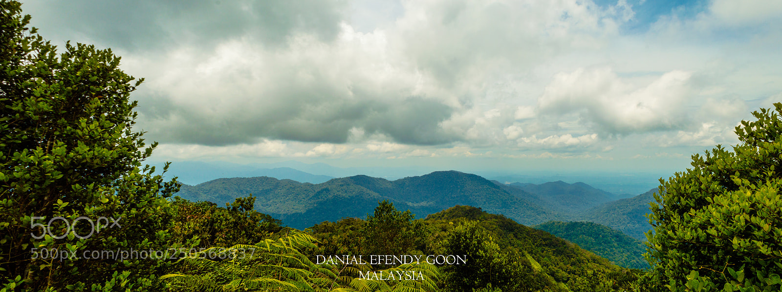 Nikon D3200 sample photo. Mount pine tree twin photography