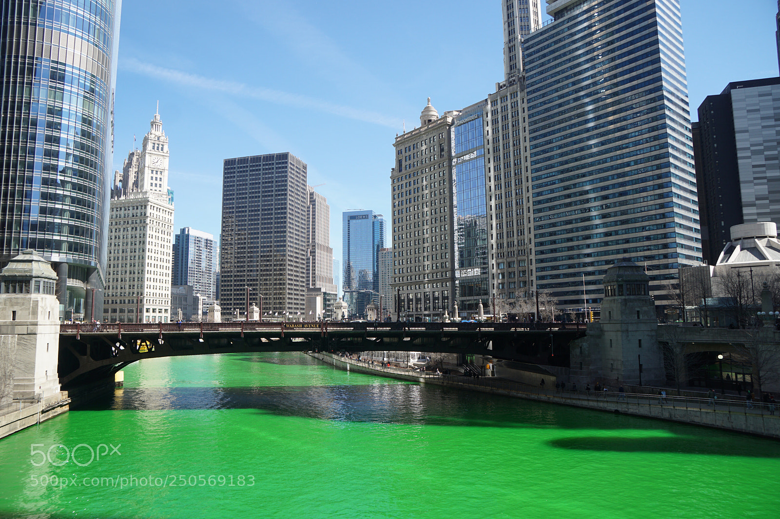 Sony a6000 sample photo. Chicago river turn green photography
