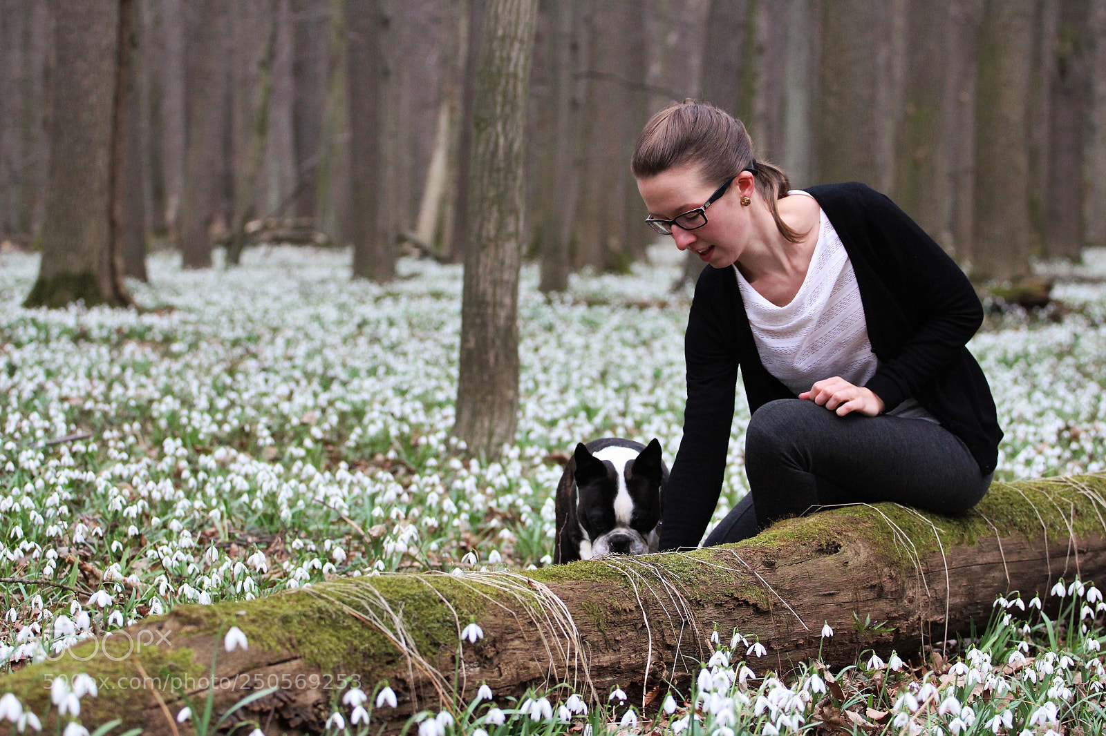 Canon EOS 100D (EOS Rebel SL1 / EOS Kiss X7) sample photo. Spring forest photography
