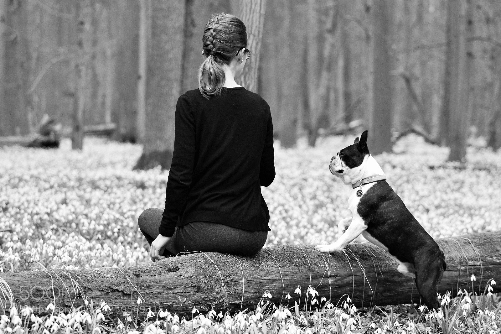 Canon EOS 100D (EOS Rebel SL1 / EOS Kiss X7) sample photo. Spring forest photography