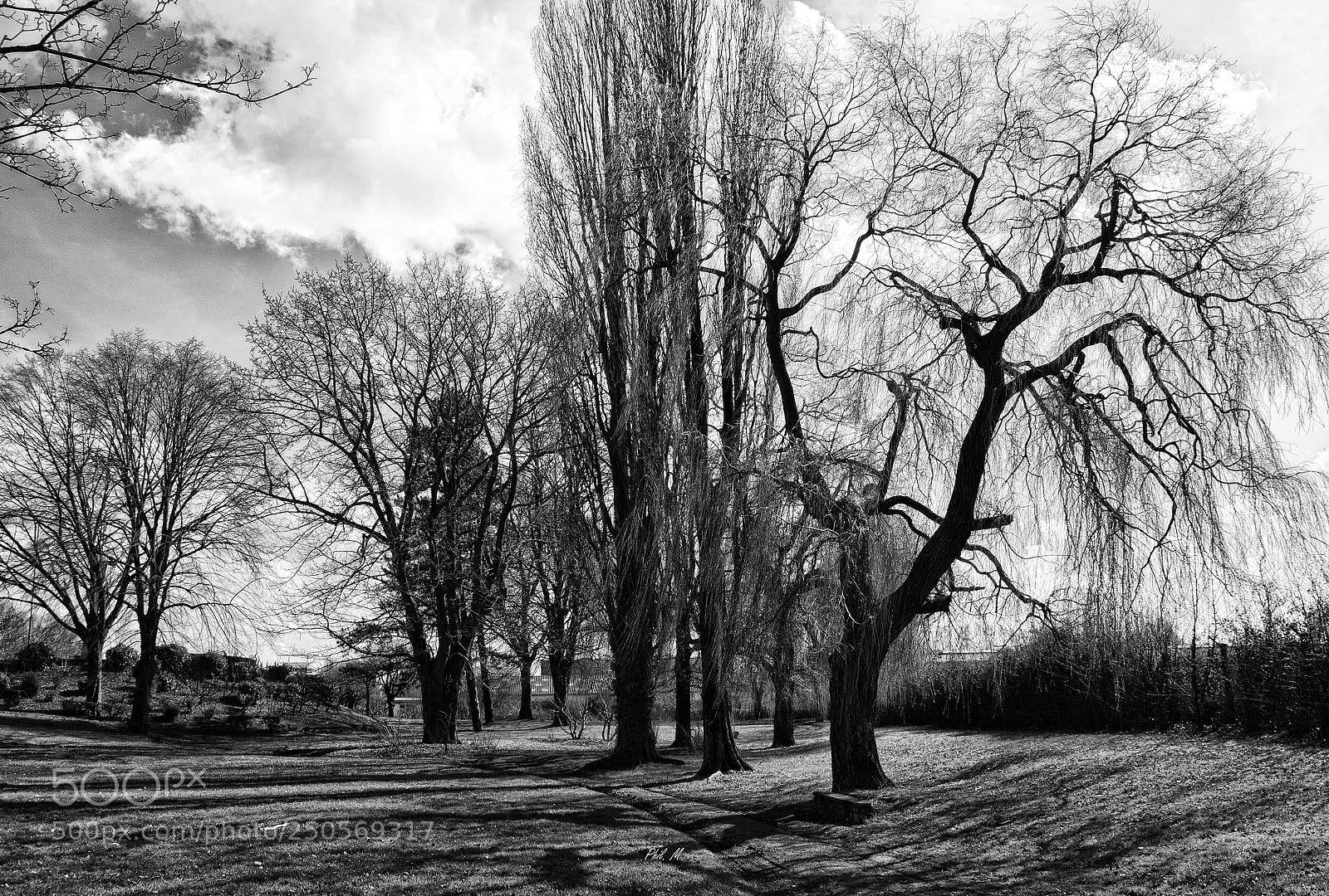 Canon EOS 1200D (EOS Rebel T5 / EOS Kiss X70 / EOS Hi) sample photo. Le parc au d photography