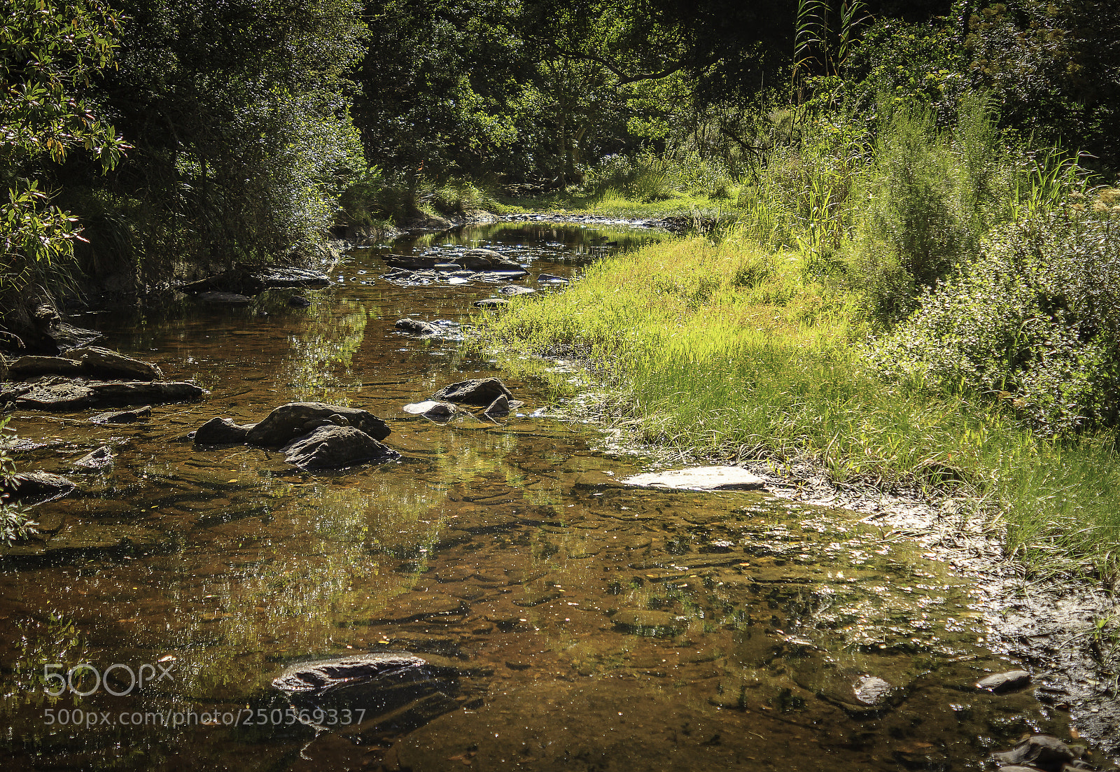 Canon EOS 7D sample photo. Herman van zyl photography