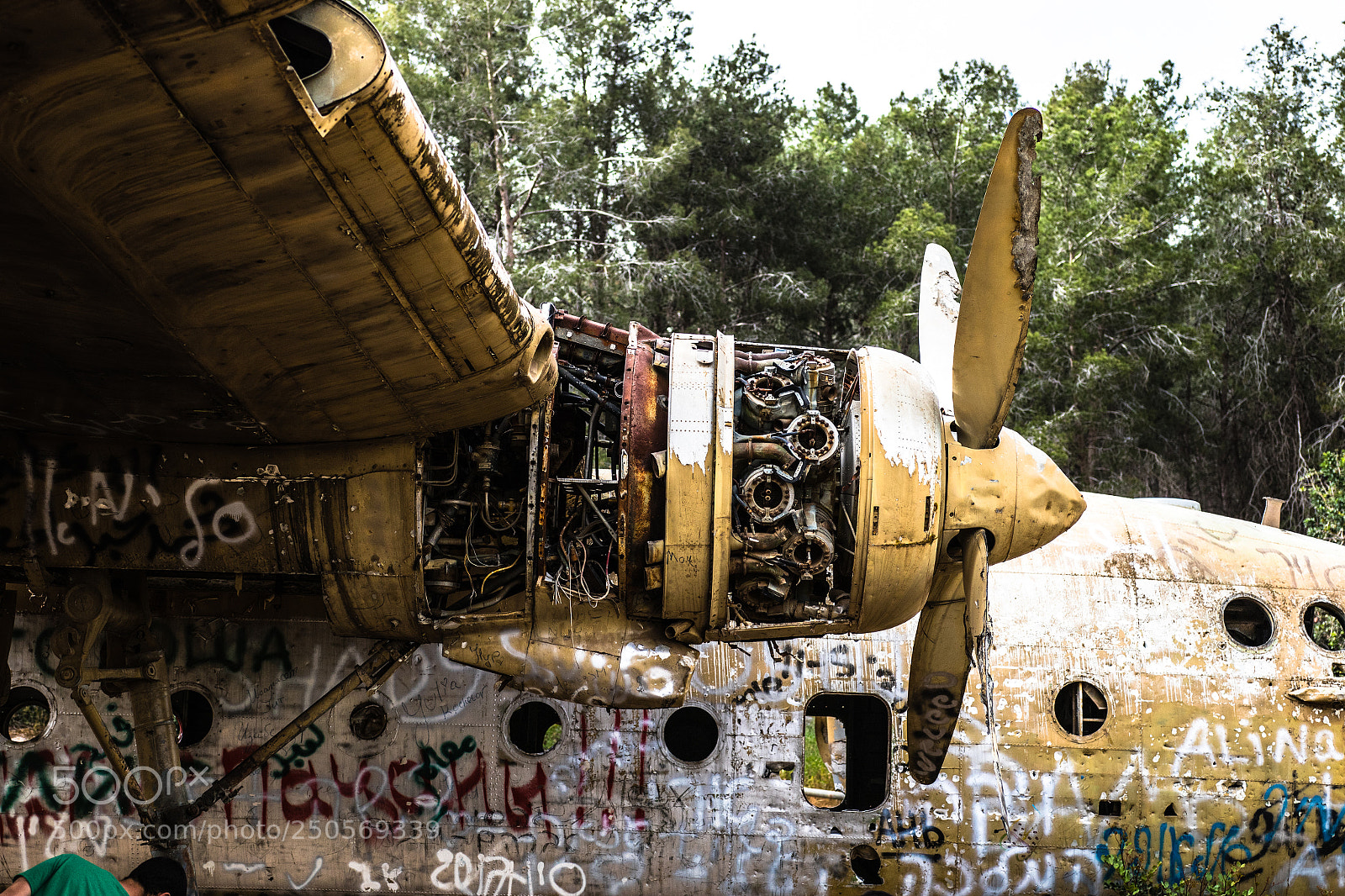 Canon EOS 7D Mark II sample photo. Crushed plane photography