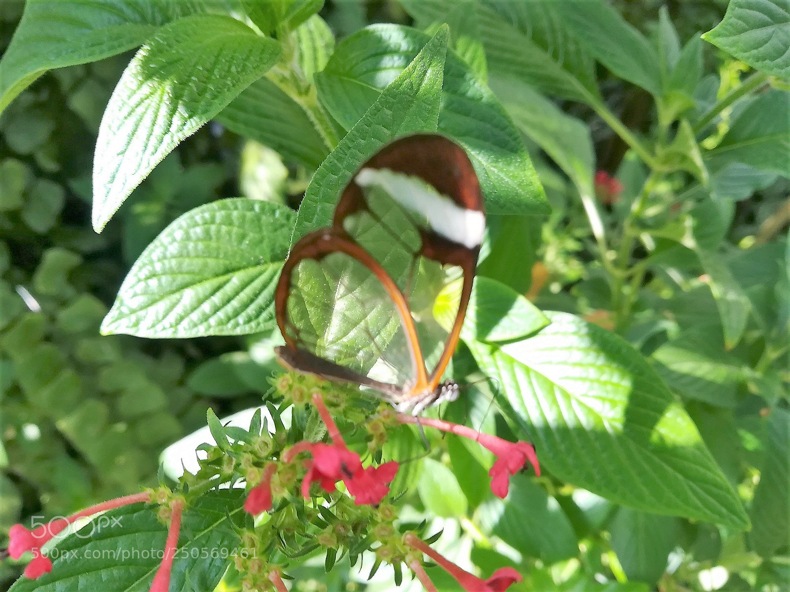 HUAWEI PRA-LX1 sample photo. I am not the photography