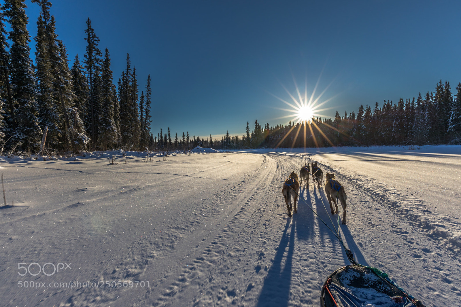 Canon EOS 5D Mark IV sample photo. Sunny trail photography