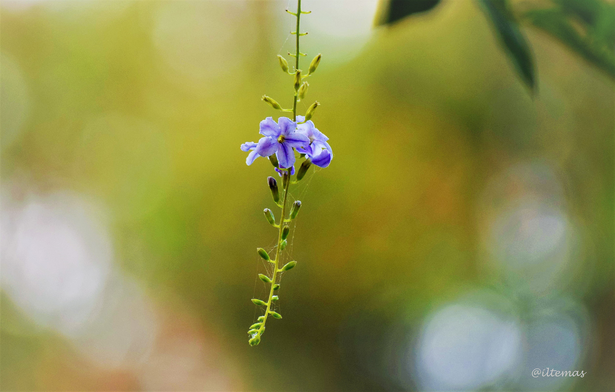 Nikon D5300 sample photo. Untitled photography