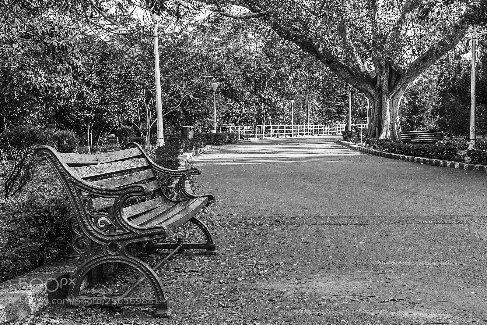 Sony a6000 sample photo. A lonely bench photography