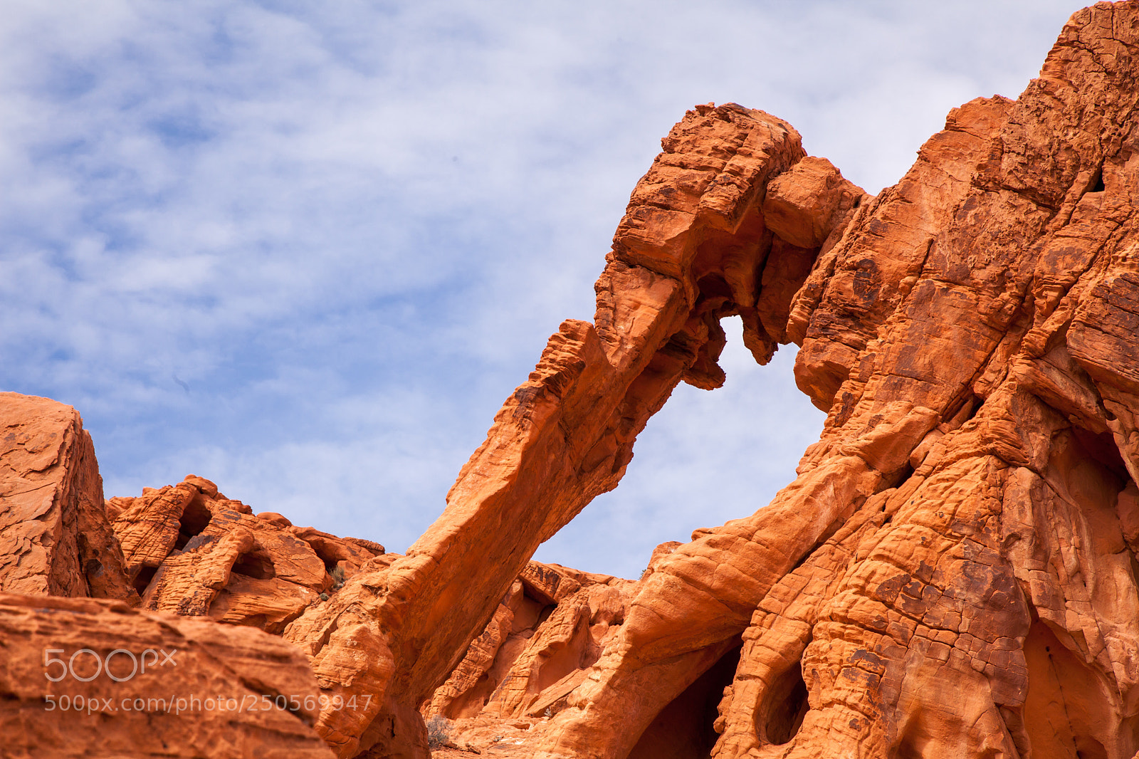 Canon EOS 5D Mark II sample photo. Elephant rock photography