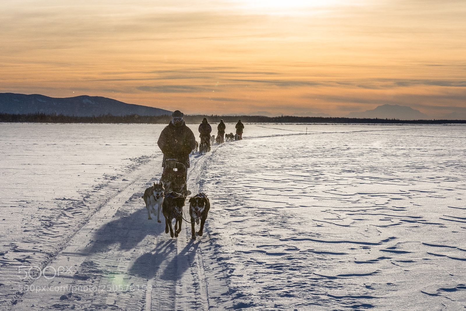 Canon EOS 5D Mark IV sample photo. Crossing the frozen lake photography