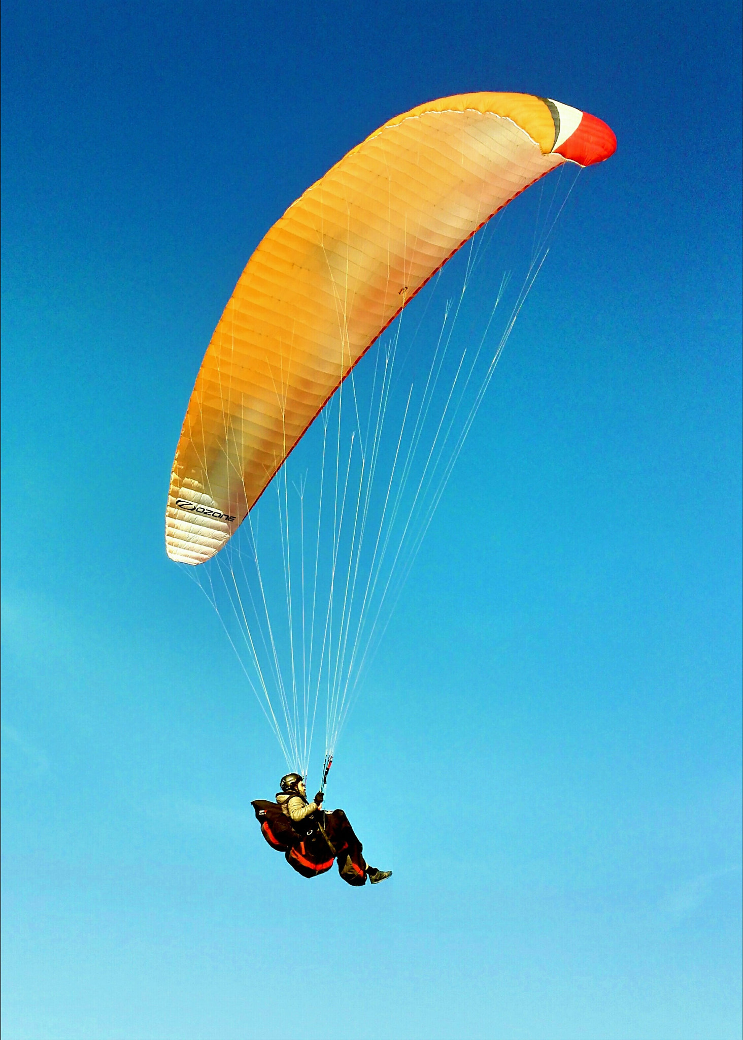 HUAWEI Mate 7 sample photo. Paraglider ii photography