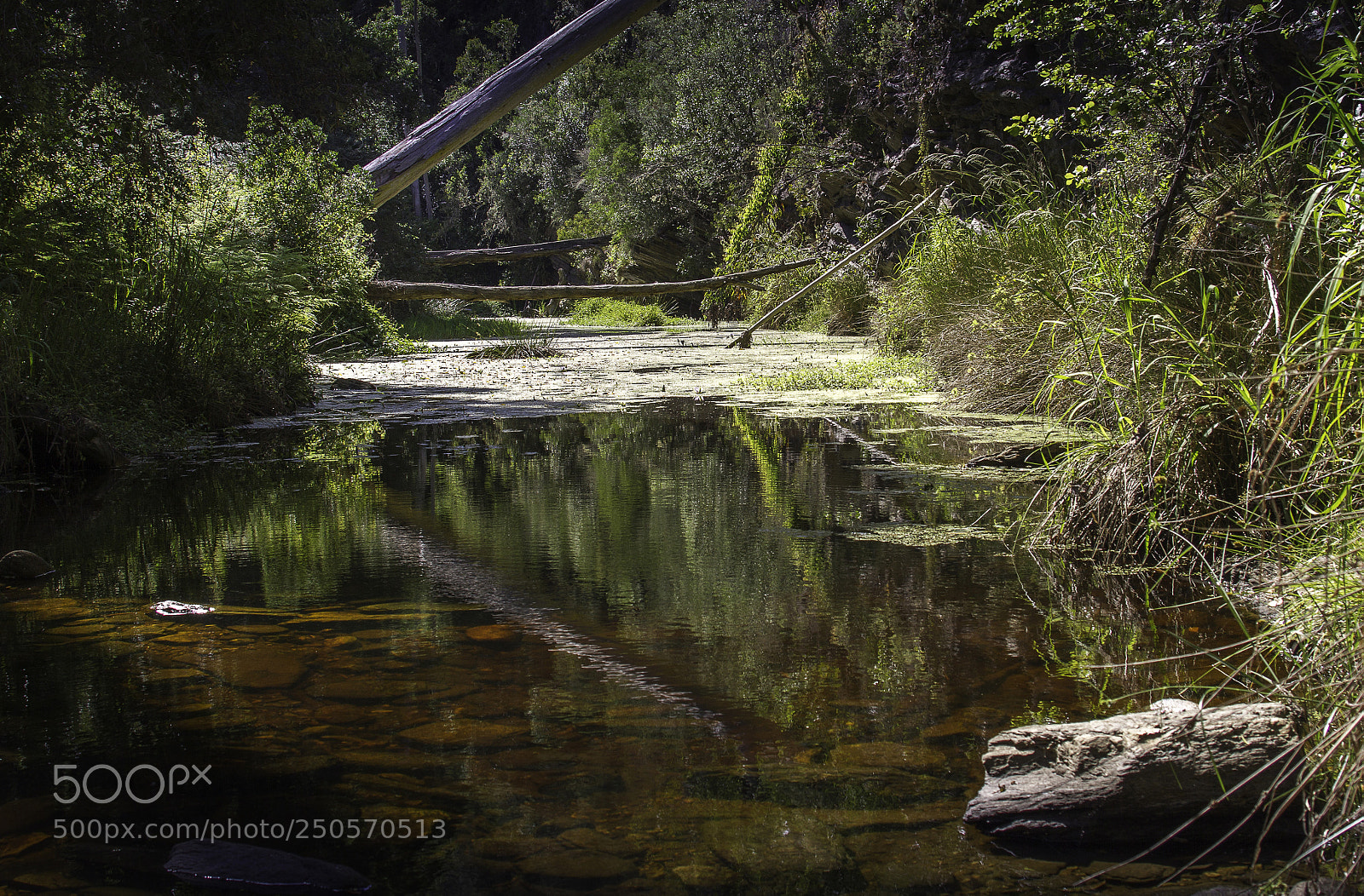 Canon EOS 7D sample photo. Herman van zyl photography