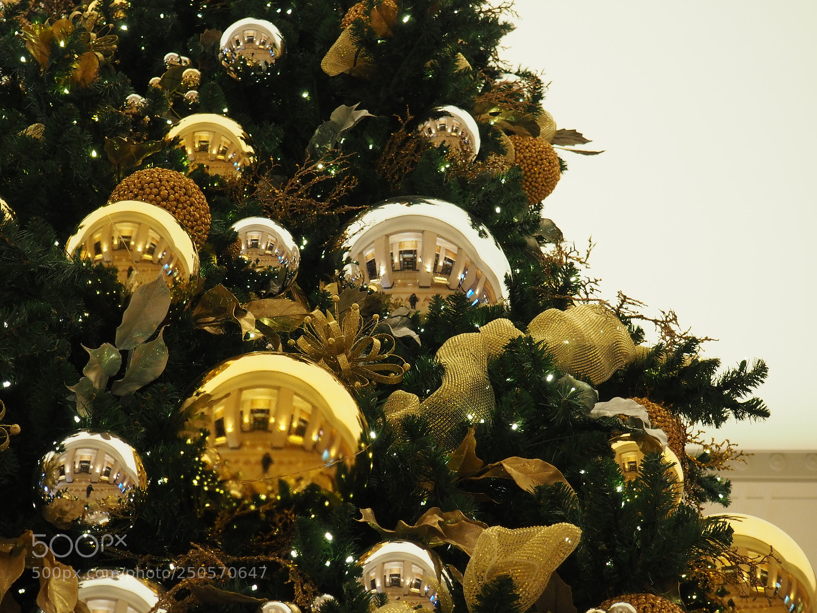 Olympus OM-D E-M10 II sample photo. Jingle bells photography
