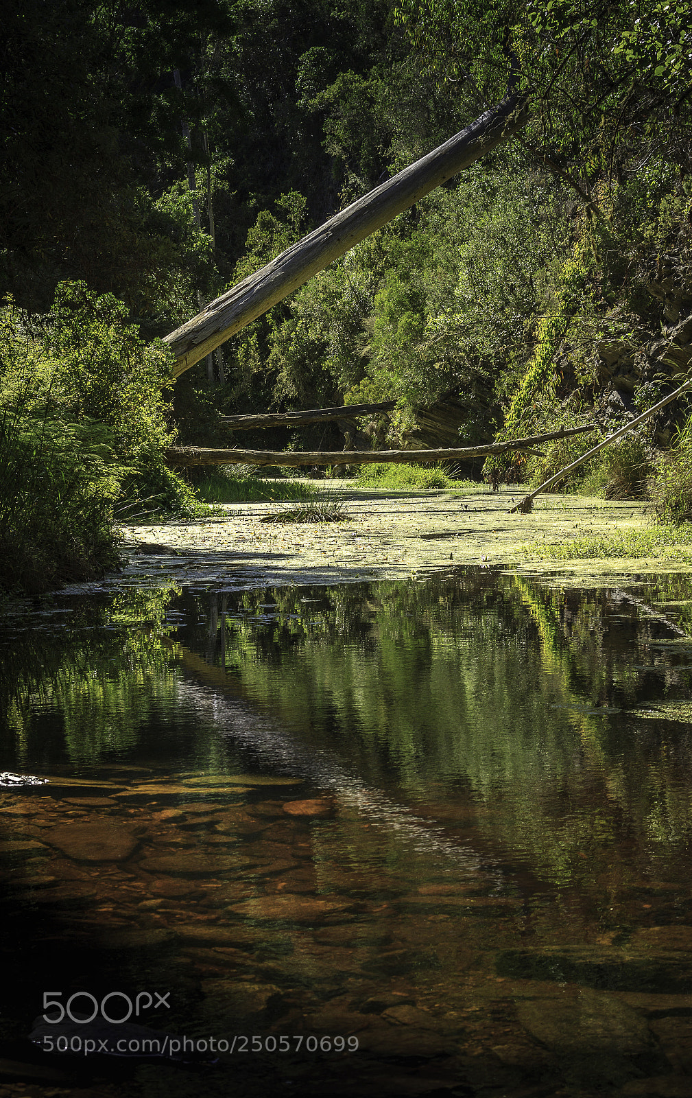 Canon EOS 7D sample photo. Herman van zyl photography