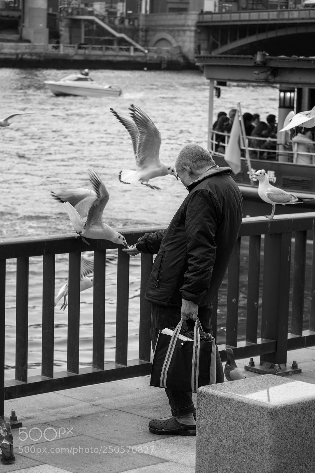 Canon EOS 70D sample photo. Feeding the seagulls photography