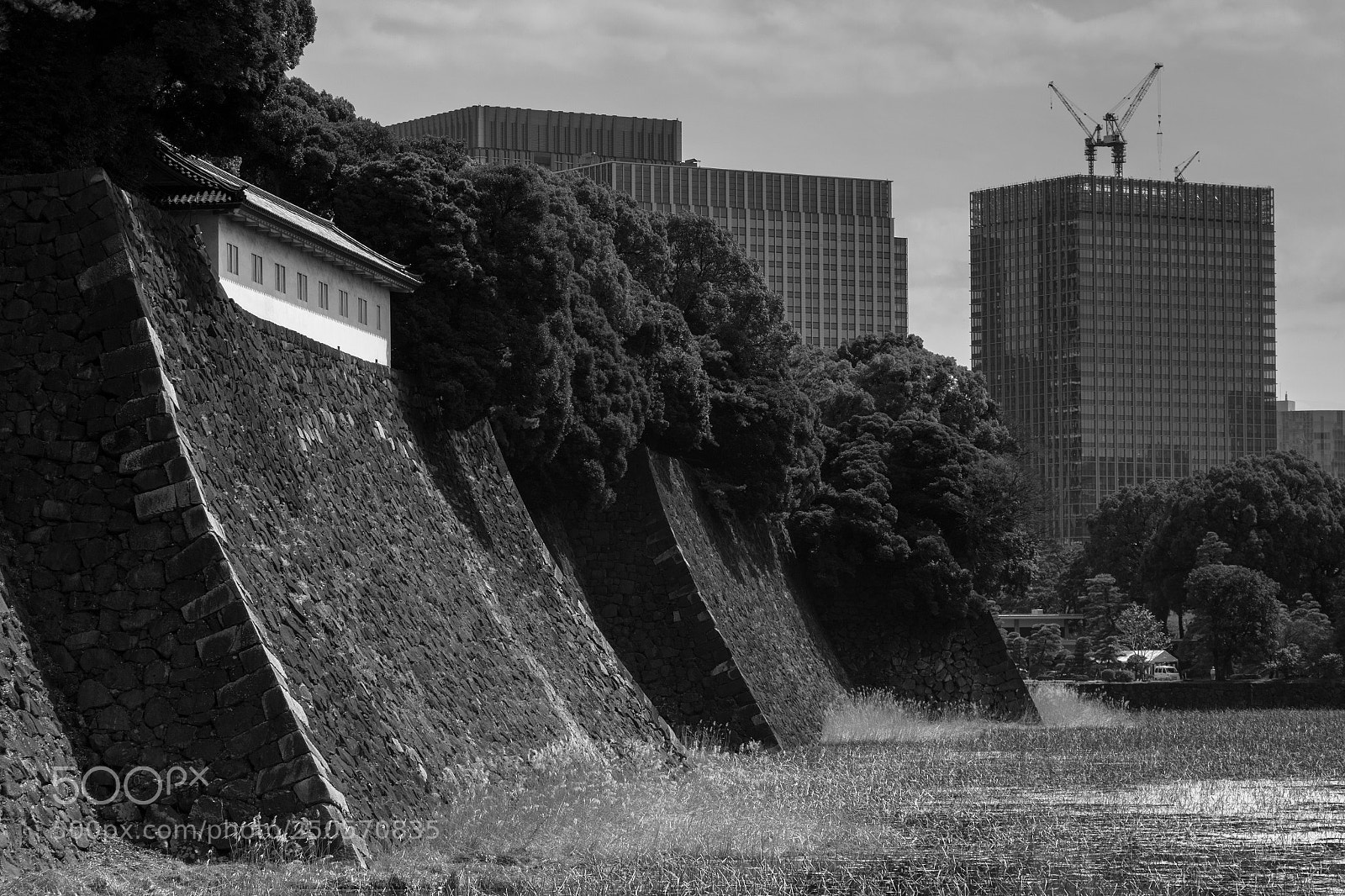 Canon EOS 70D sample photo. Imperial palace photography