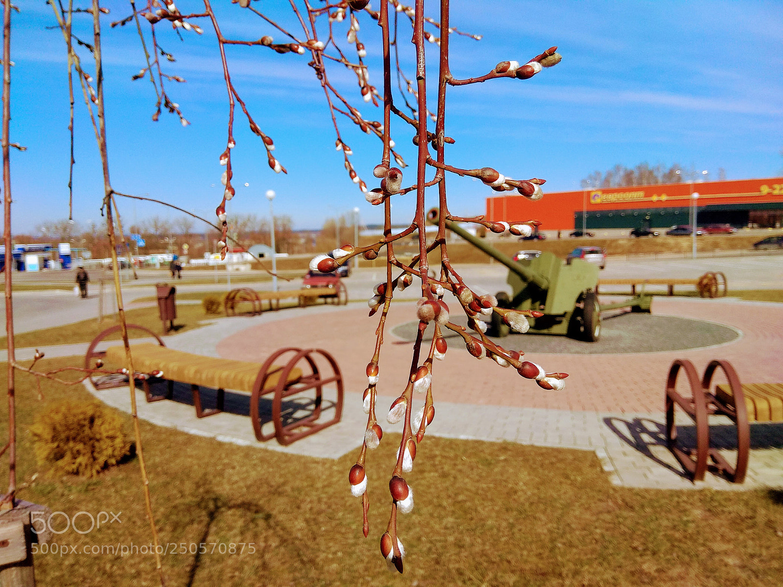 Xiaomi Redmi Note 4 sample photo. Img_20180319_134725.jpg photography
