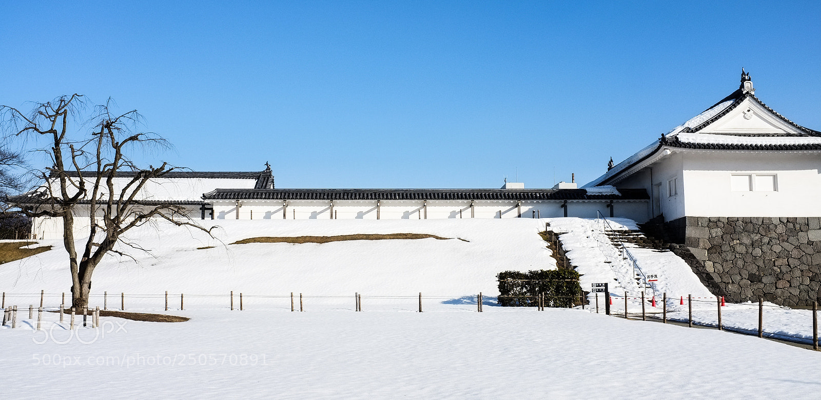 Fujifilm FinePix X100 sample photo. Pure photography