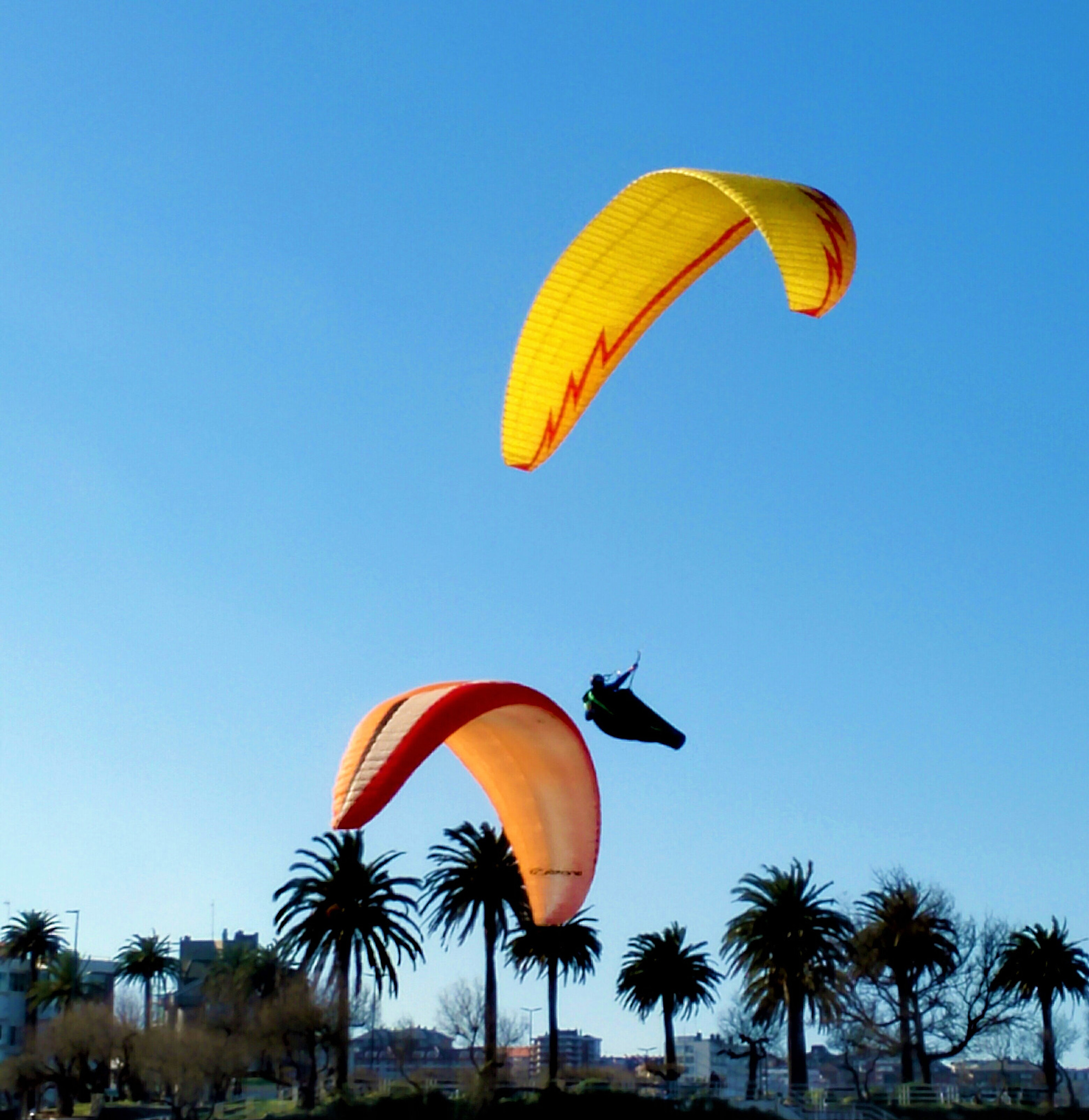 HUAWEI Mate 7 sample photo. Paraglider iii photography