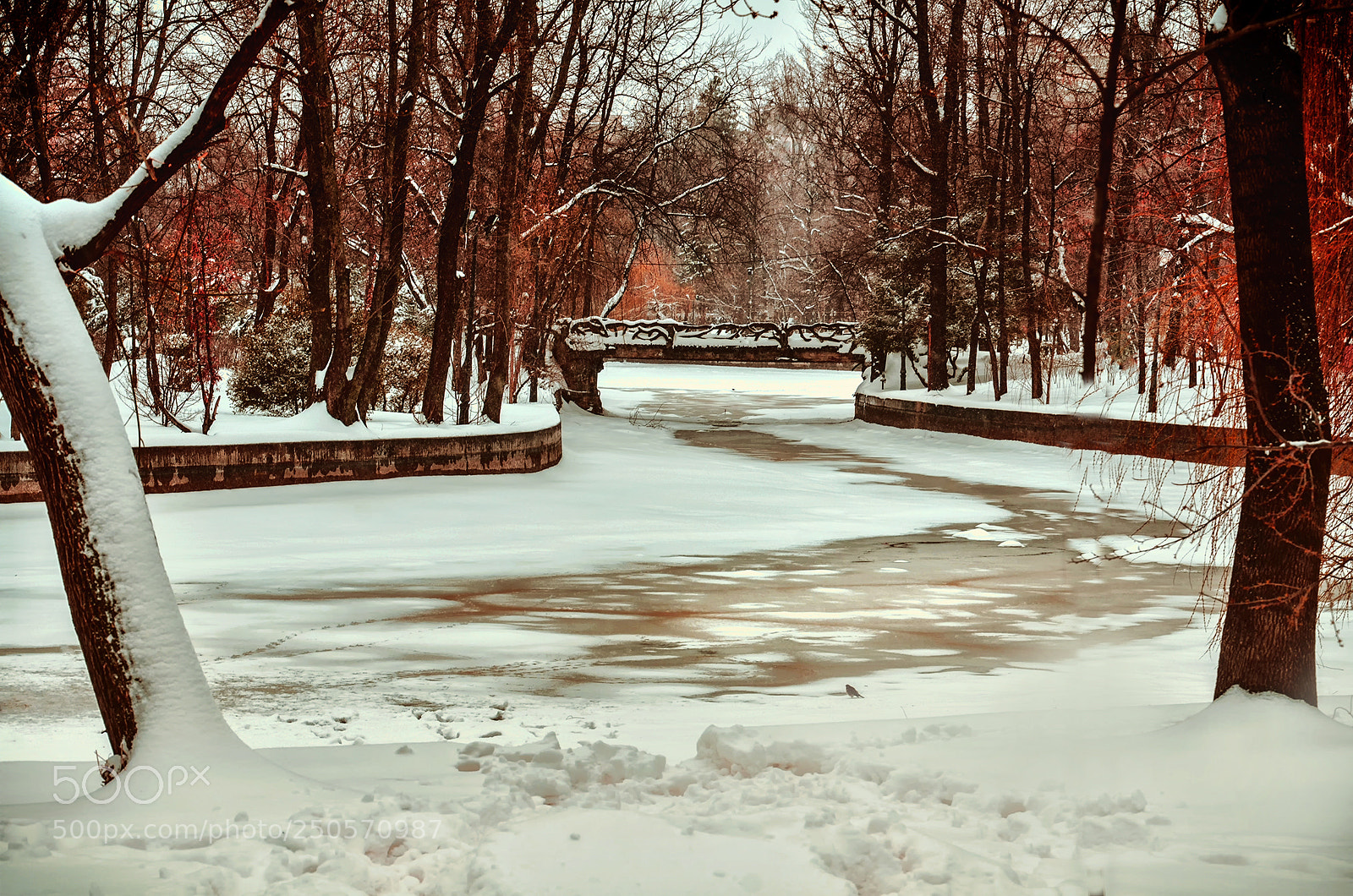 Nikon D7000 sample photo. Cismigiu park photography