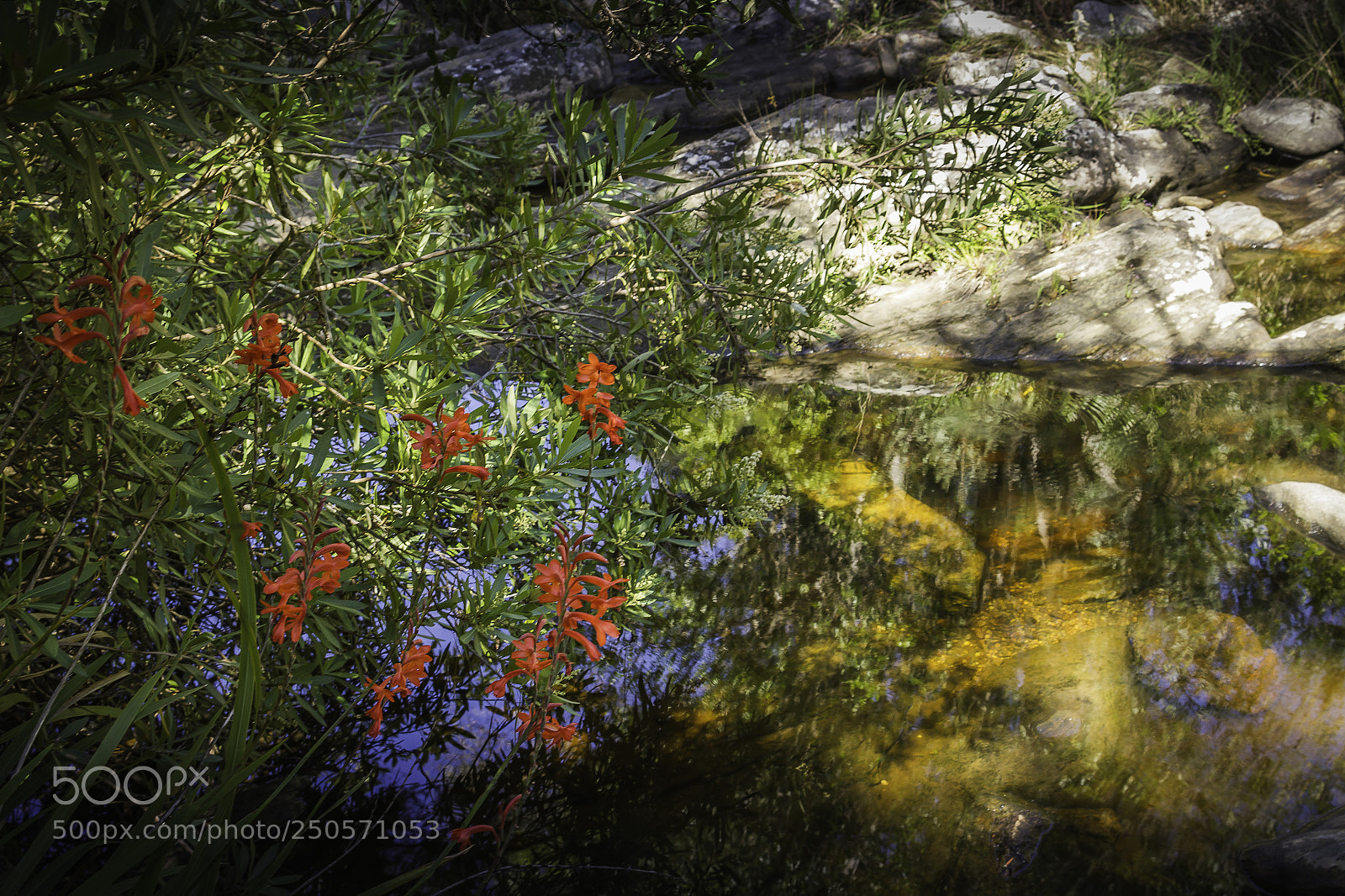 Canon EOS 7D sample photo. Herman van zyl photography