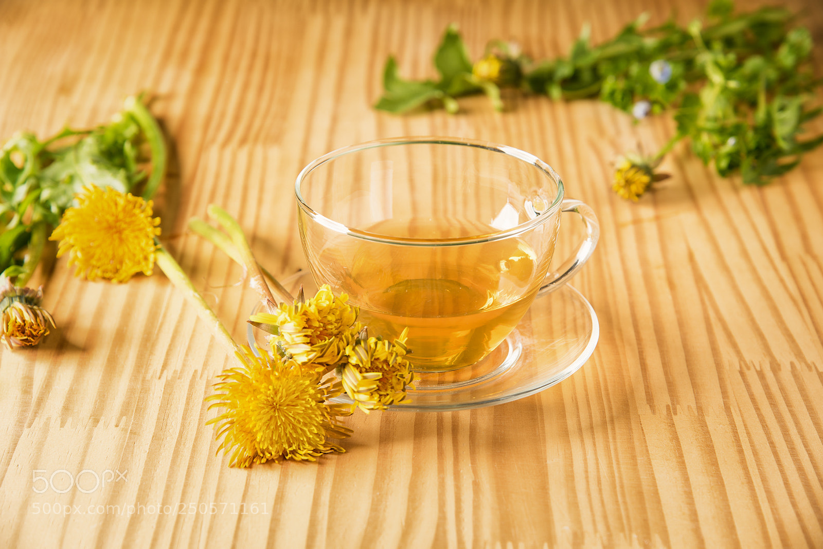 Nikon D810 sample photo. Taraxacum tisane photography