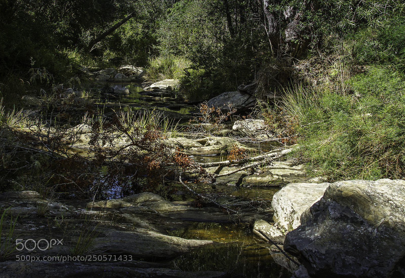 Canon EOS 7D sample photo. Herman van zyl photography