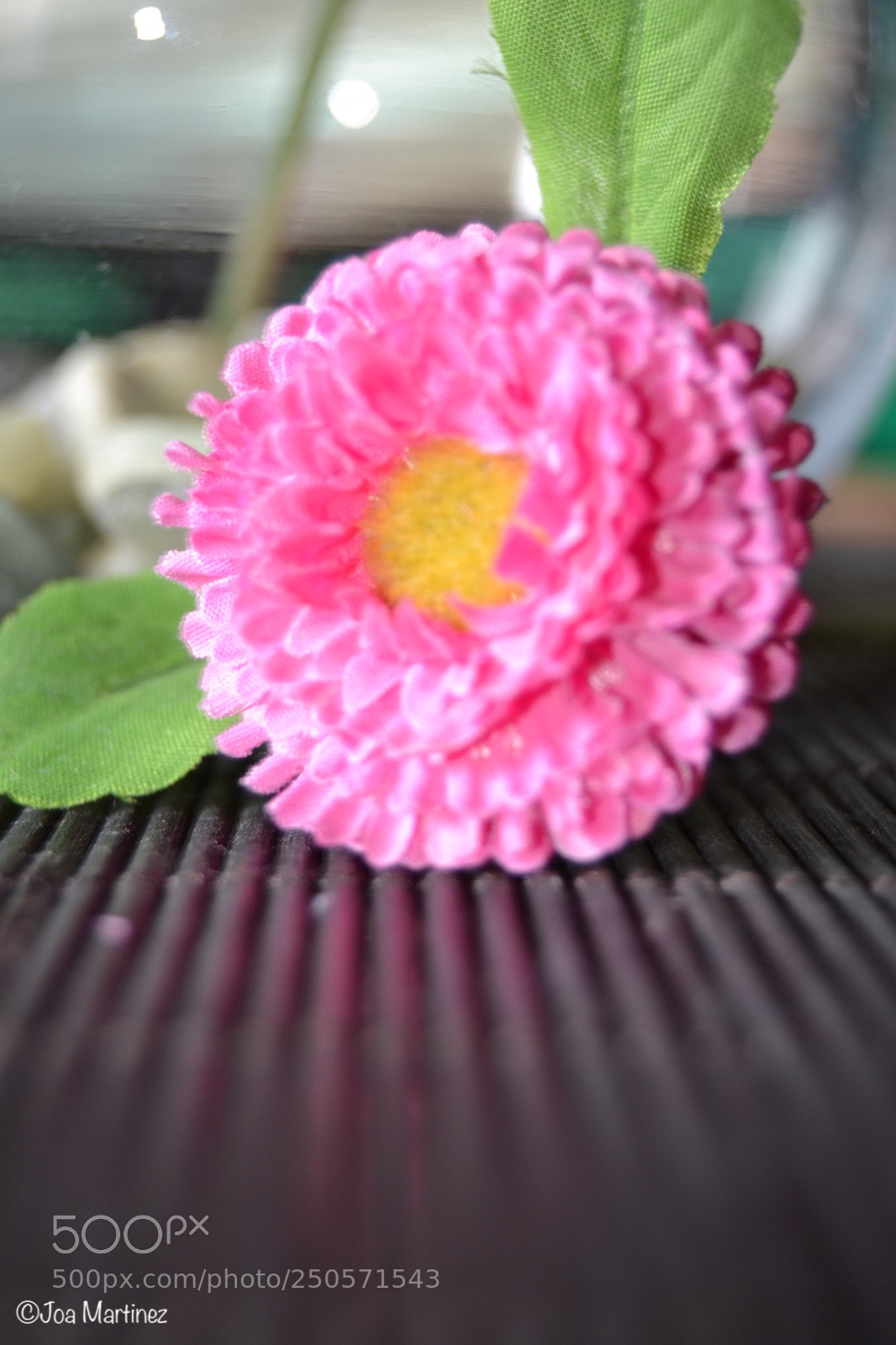 Nikon D3100 sample photo. Buscando la primavera photography
