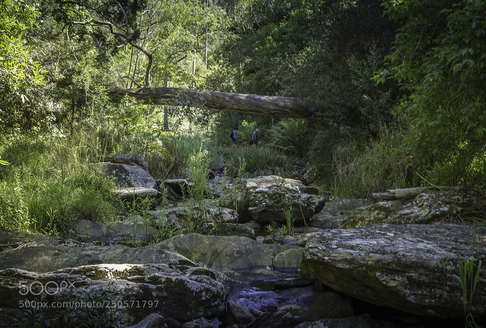 Canon EOS 7D sample photo. Herman van zyl photography