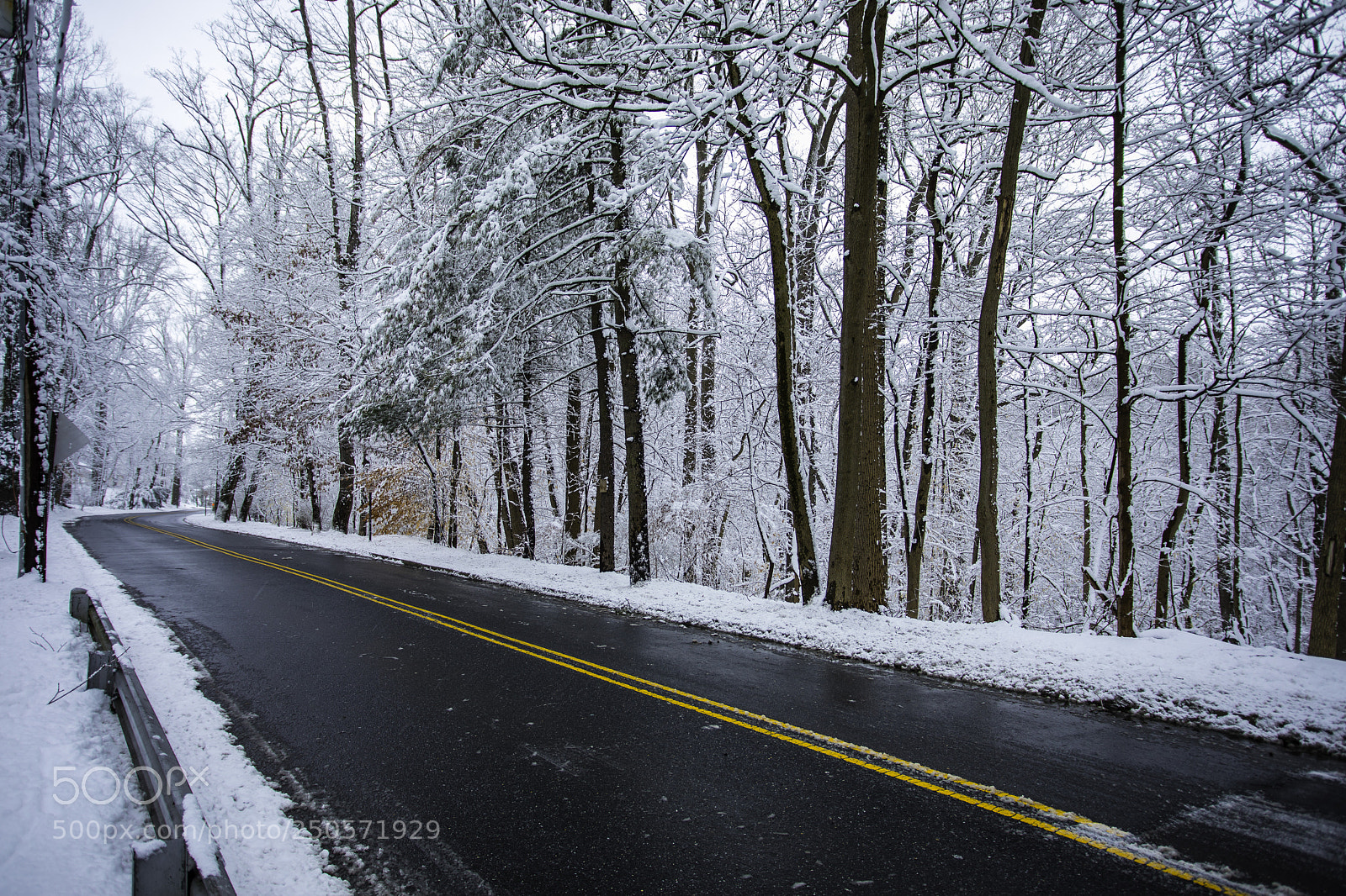 Canon EOS 5D Mark IV sample photo. Wintry road photography