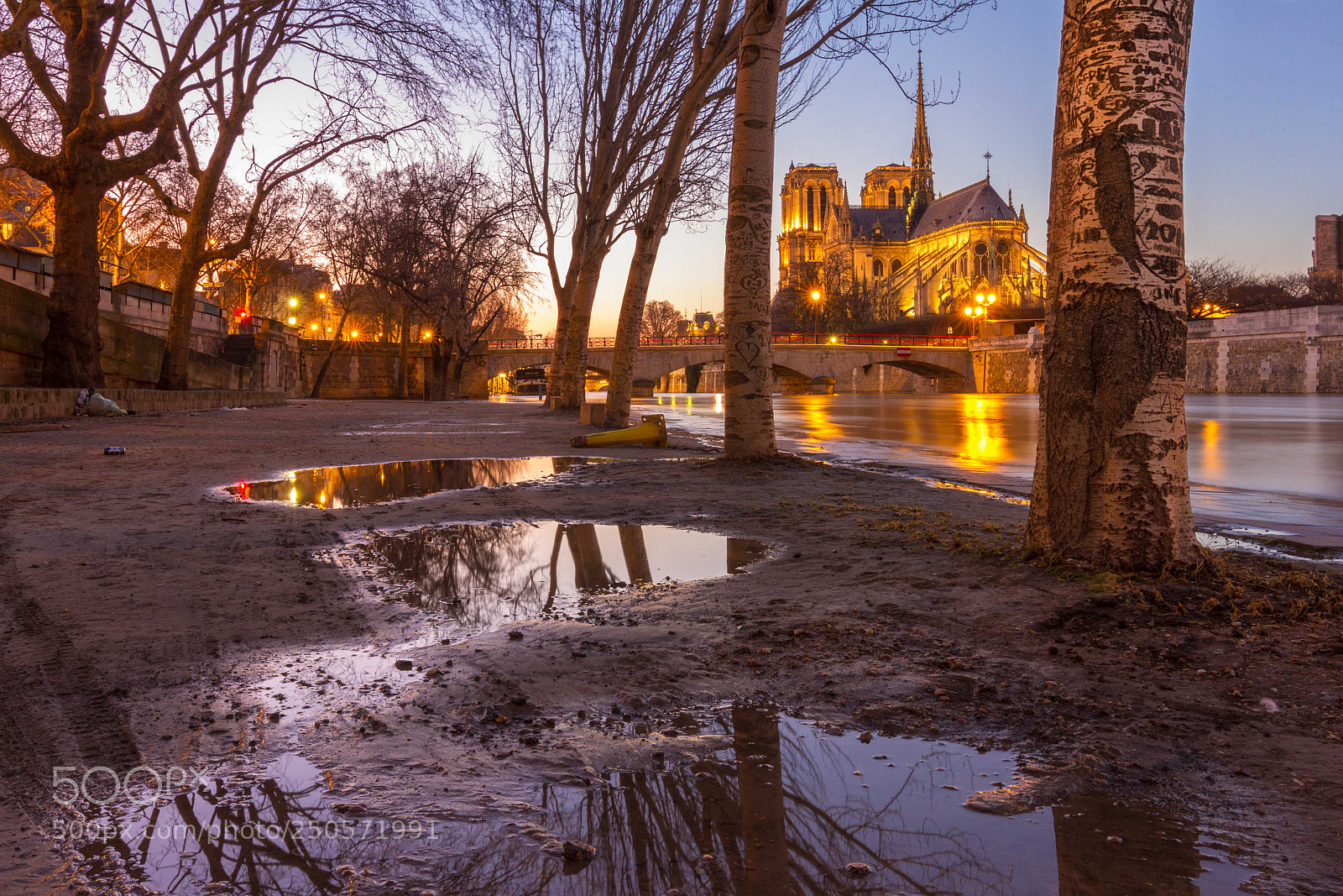 Canon EOS 7D sample photo. Notre-dame de parie blue photography