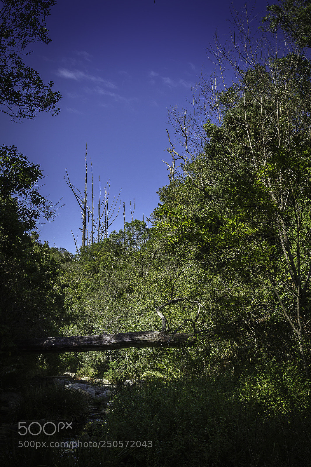 Canon EOS 7D sample photo. Herman van zyl photography
