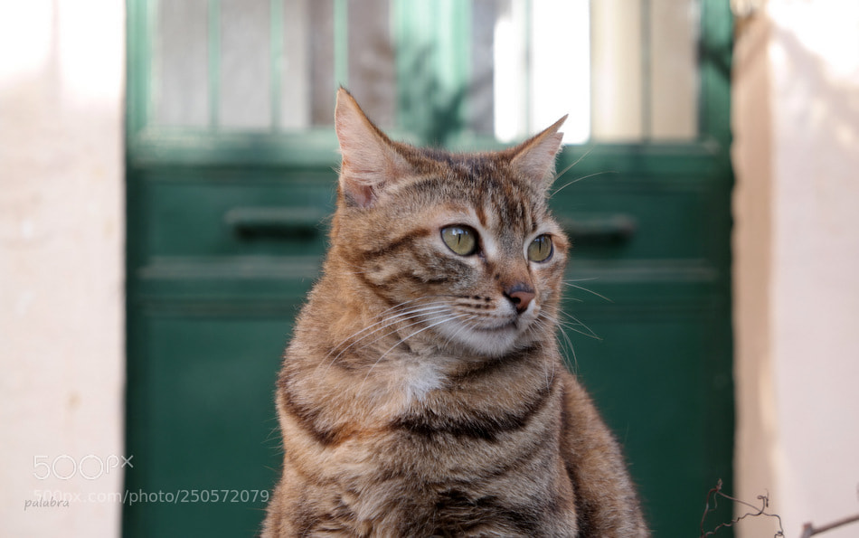 Samsung NX30 sample photo. Front of the door photography