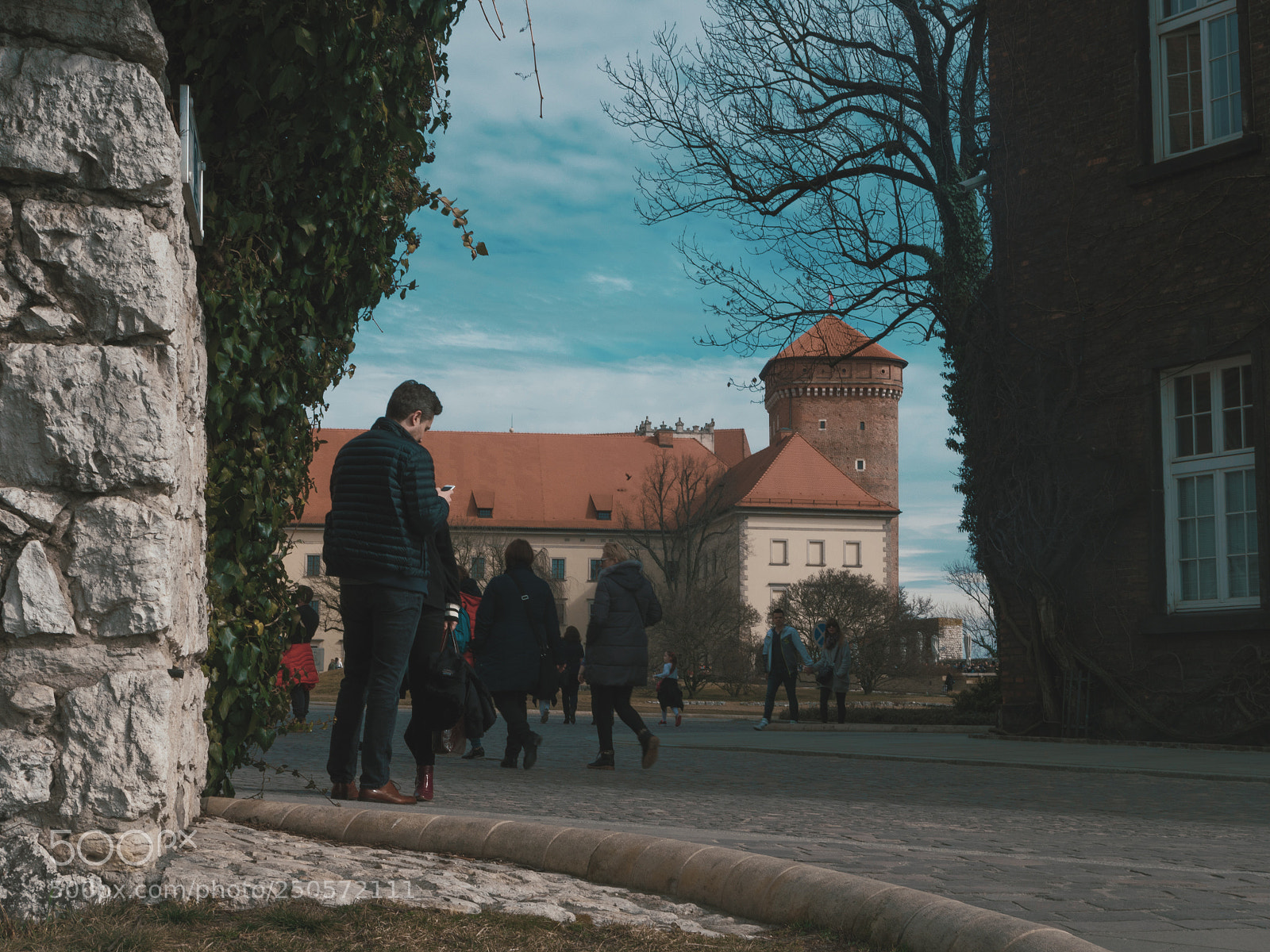 Panasonic Lumix DC-GH5 sample photo. Wawel castle photography