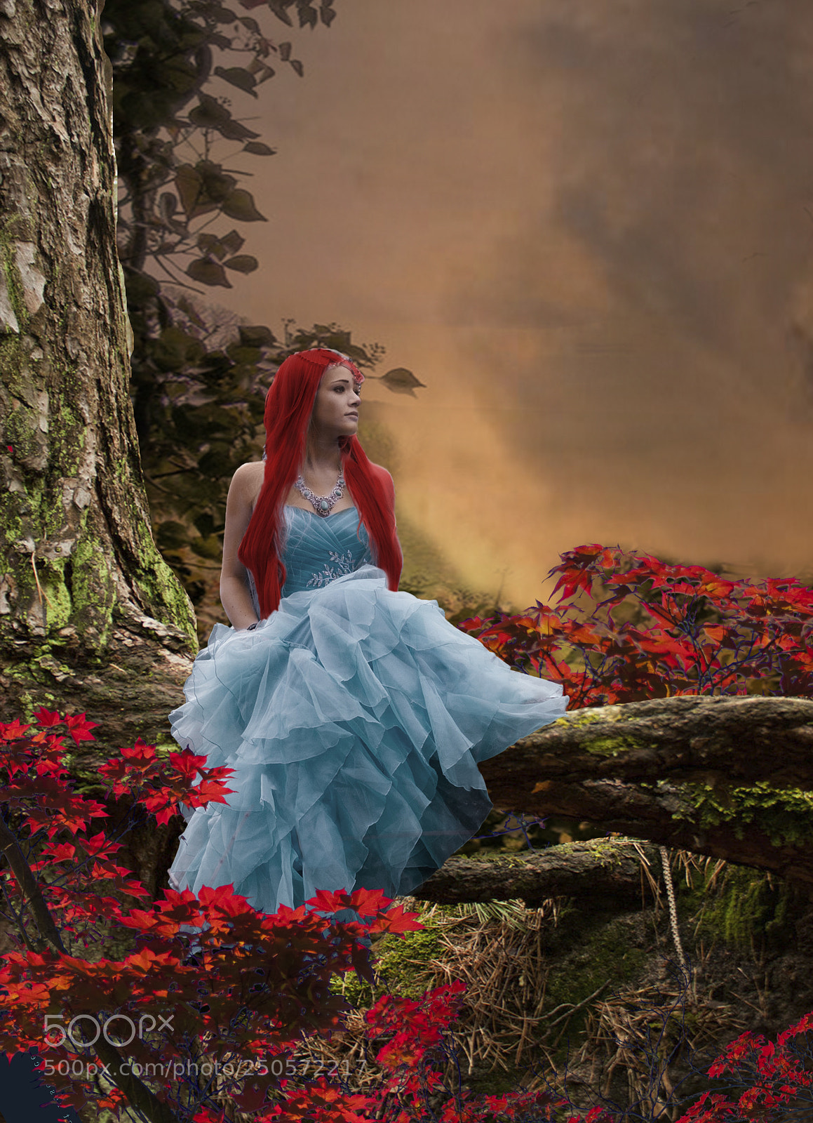 Canon EOS 550D (EOS Rebel T2i / EOS Kiss X4) sample photo. Queen of the forest photography
