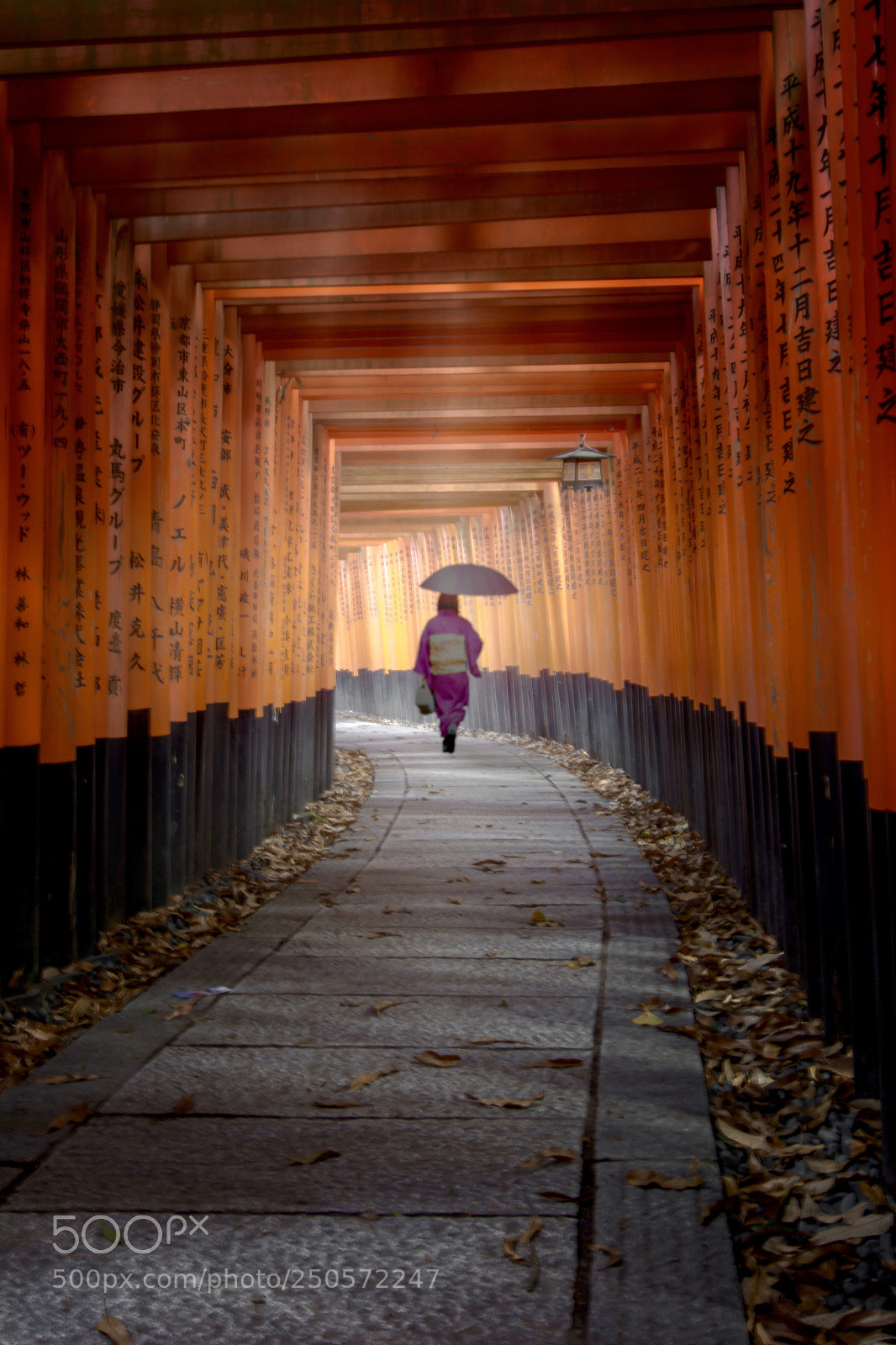 Nikon D7100 sample photo. Journey through a thousand photography