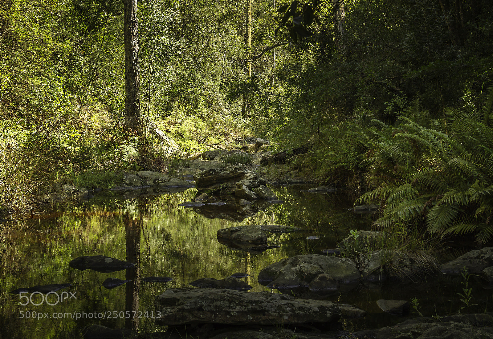 Canon EOS 7D sample photo. Herman van zyl photography