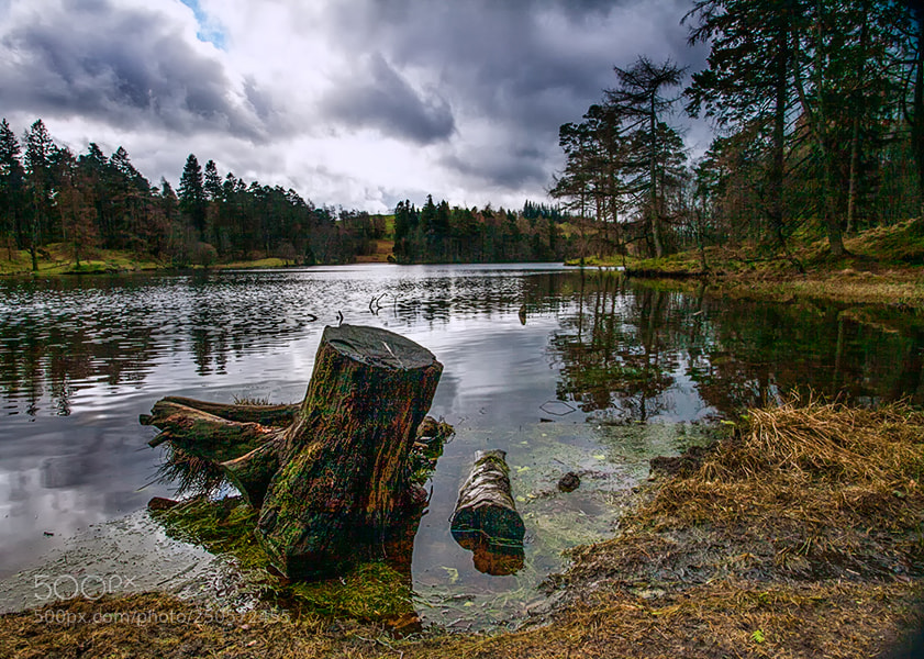 Canon EOS 5D Mark II sample photo. Lake district various photography