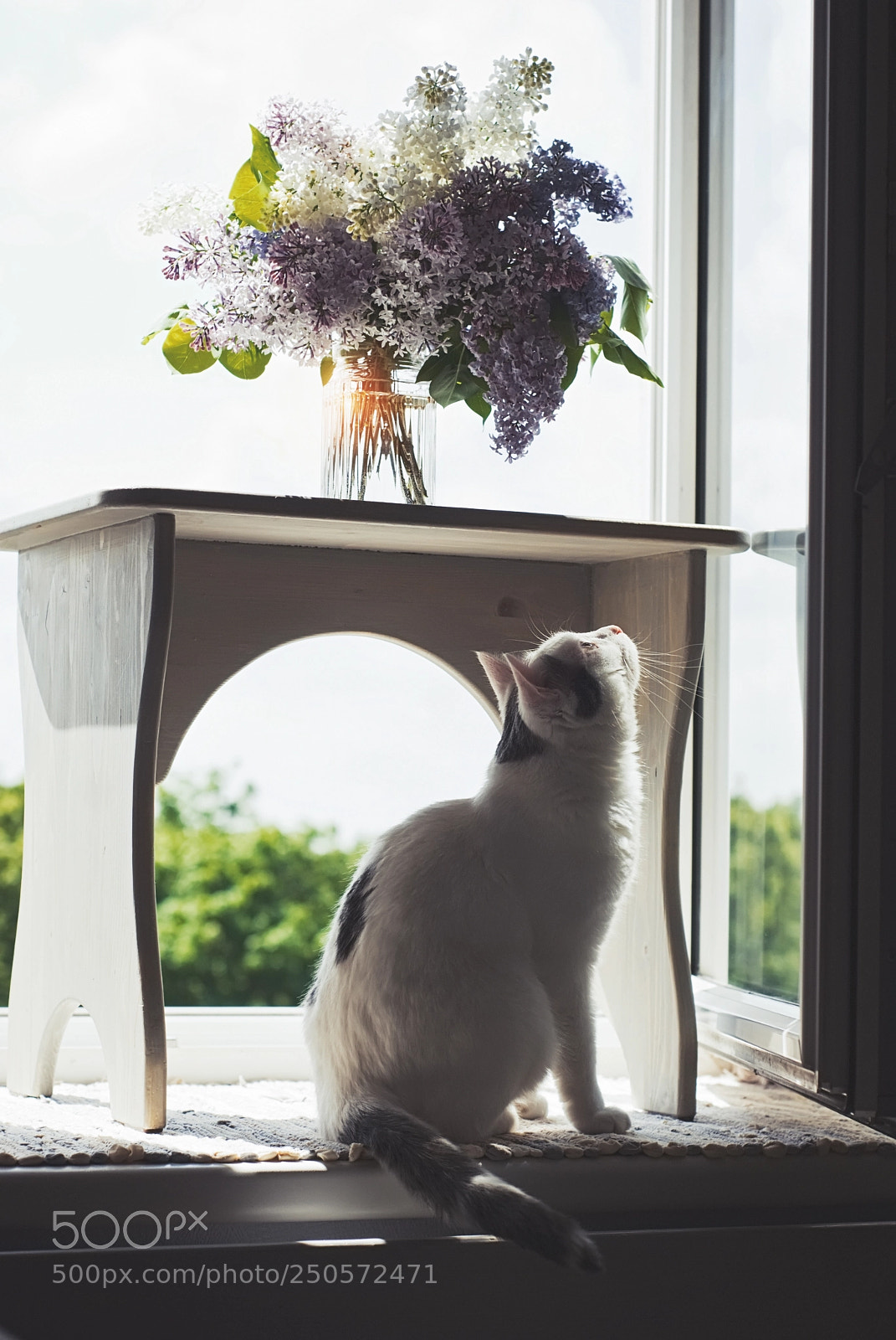 Nikon D80 sample photo. A whiff of spring photography
